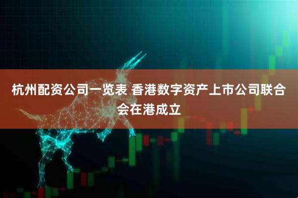 杭州配资公司一览表 香港数字资产上市公司联合会在港成立