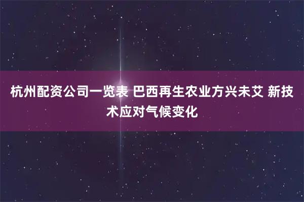 杭州配资公司一览表 巴西再生农业方兴未艾 新技术应对气候变化