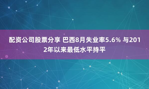 配资公司股票分享 巴西8月失业率5.6% 与2012年以来最低水平持平