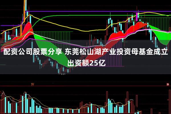 配资公司股票分享 东莞松山湖产业投资母基金成立 出资额25亿