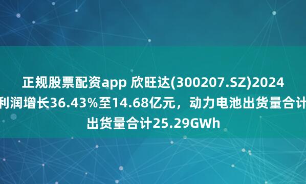 正规股票配资app 欣旺达(300207.SZ)2024年度归母净利润增长36.43%至14.68亿元，动力电池出货量合计25.29GWh