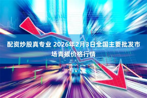 配资炒股真专业 2026年2月3日全国主要批发市场青椒价格行情