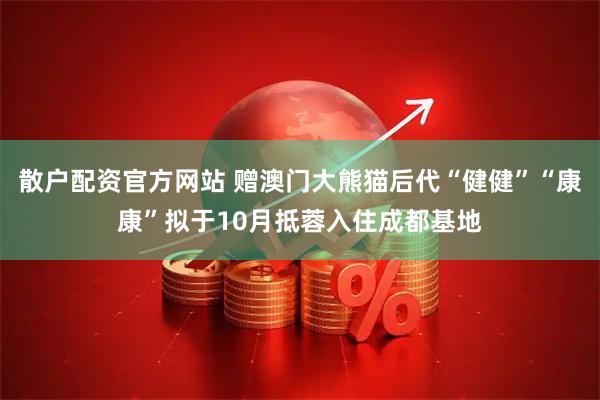 散户配资官方网站 赠澳门大熊猫后代“健健”“康康”拟于10月抵蓉入住成都基地